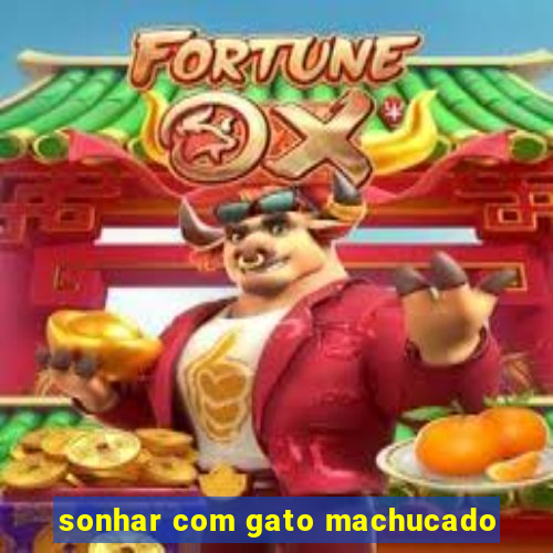 sonhar com gato machucado